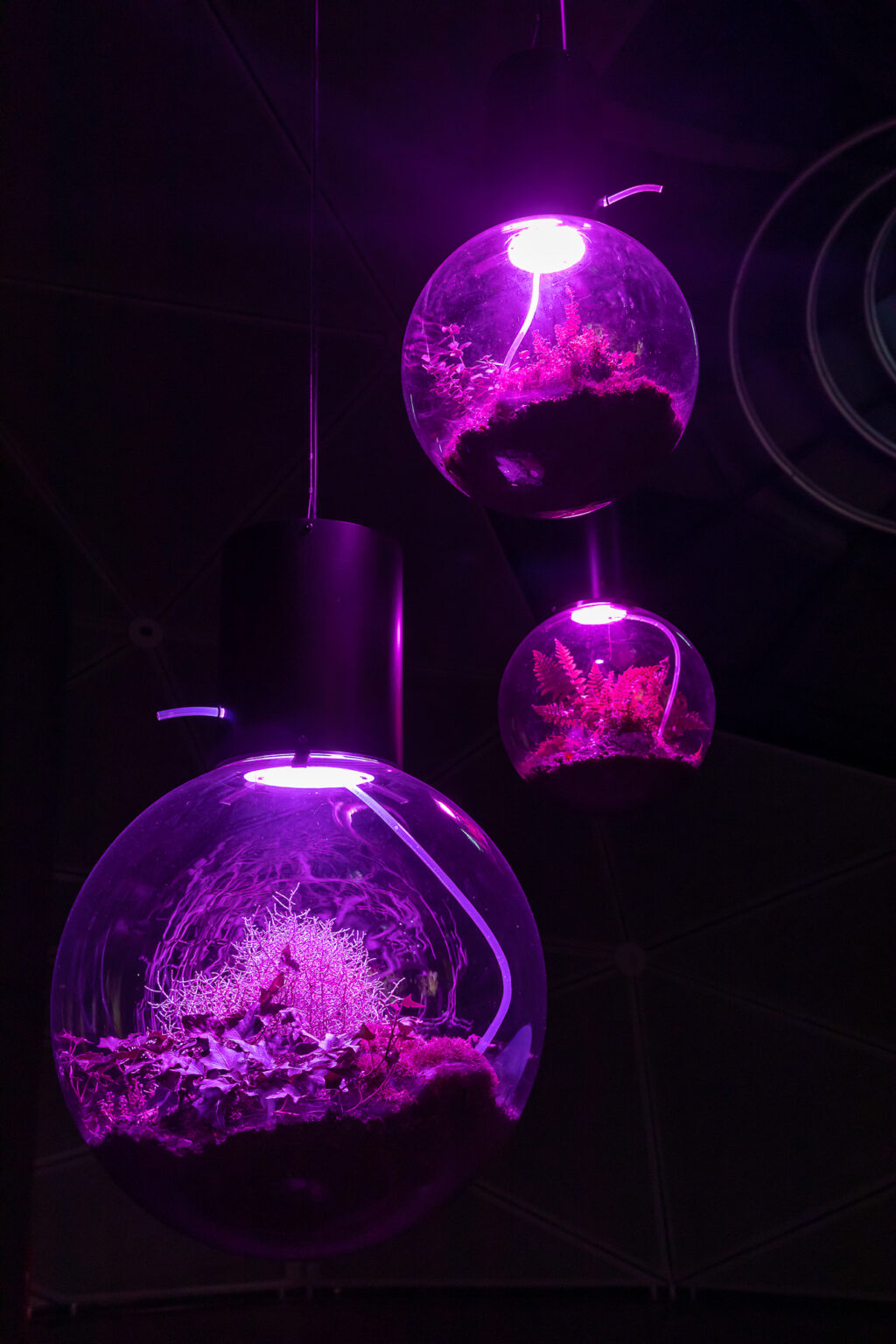 <p>ESTHER SCHIPPER</p>
<p> </p>
<p>Hito Steyerl, Animal Spirits, 2022 (detail). Courtesy the artist, Andrew Kreps Gallery, New York, and Esther Schipper, Berlin/Paris/Seoul. © The artist / VG Bild-Kunst, Bonn 2023. Photo © Kunsthaus Graz/N. Lackner</p>