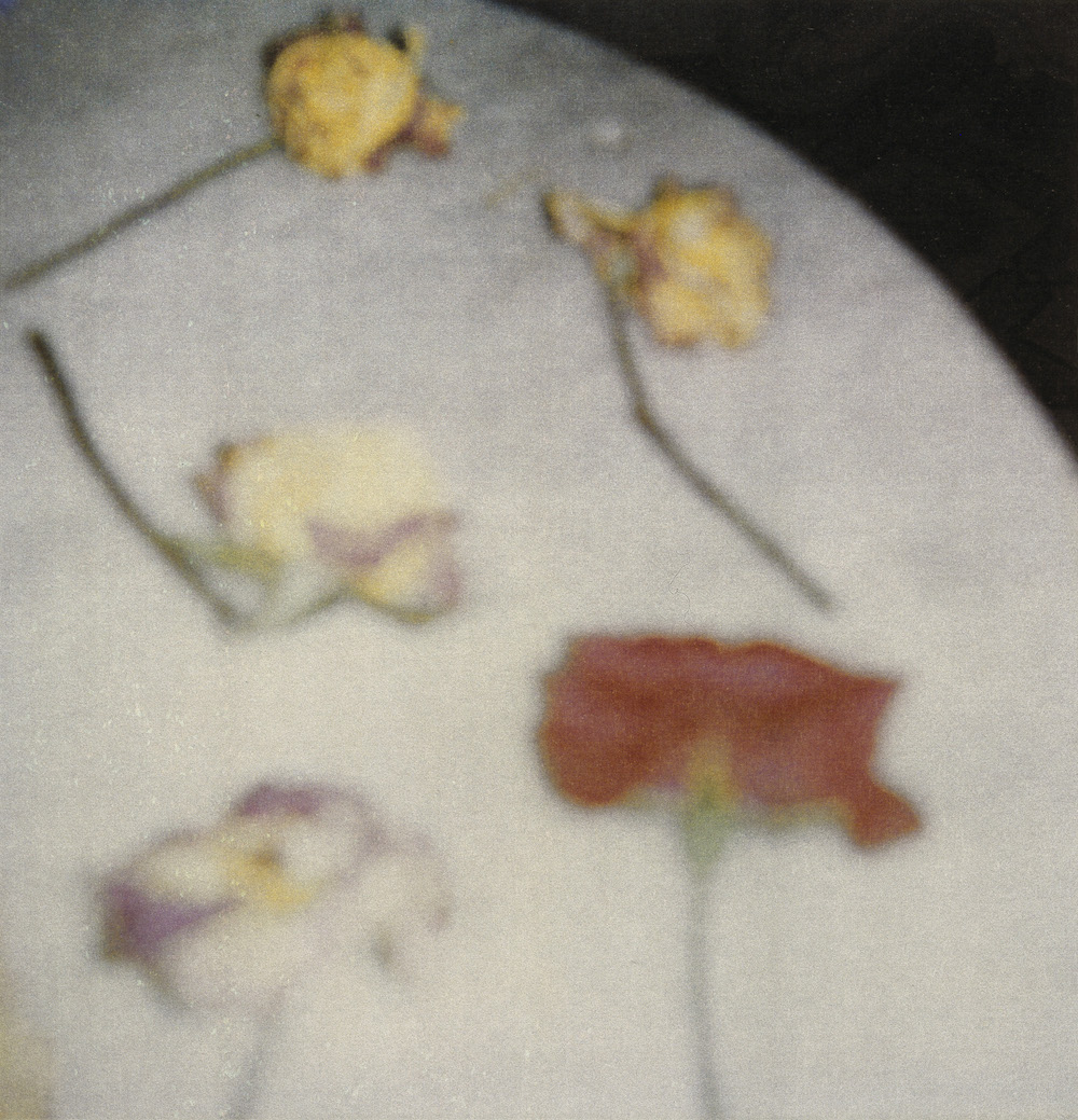 <p>GALERIE BASTIAN</p>
<p> </p>
<p>Cy Twombly, Light Flowers (I), Gaeta, 2008 © Cy Twombly Foundation, Courtesy BASTIAN</p>
