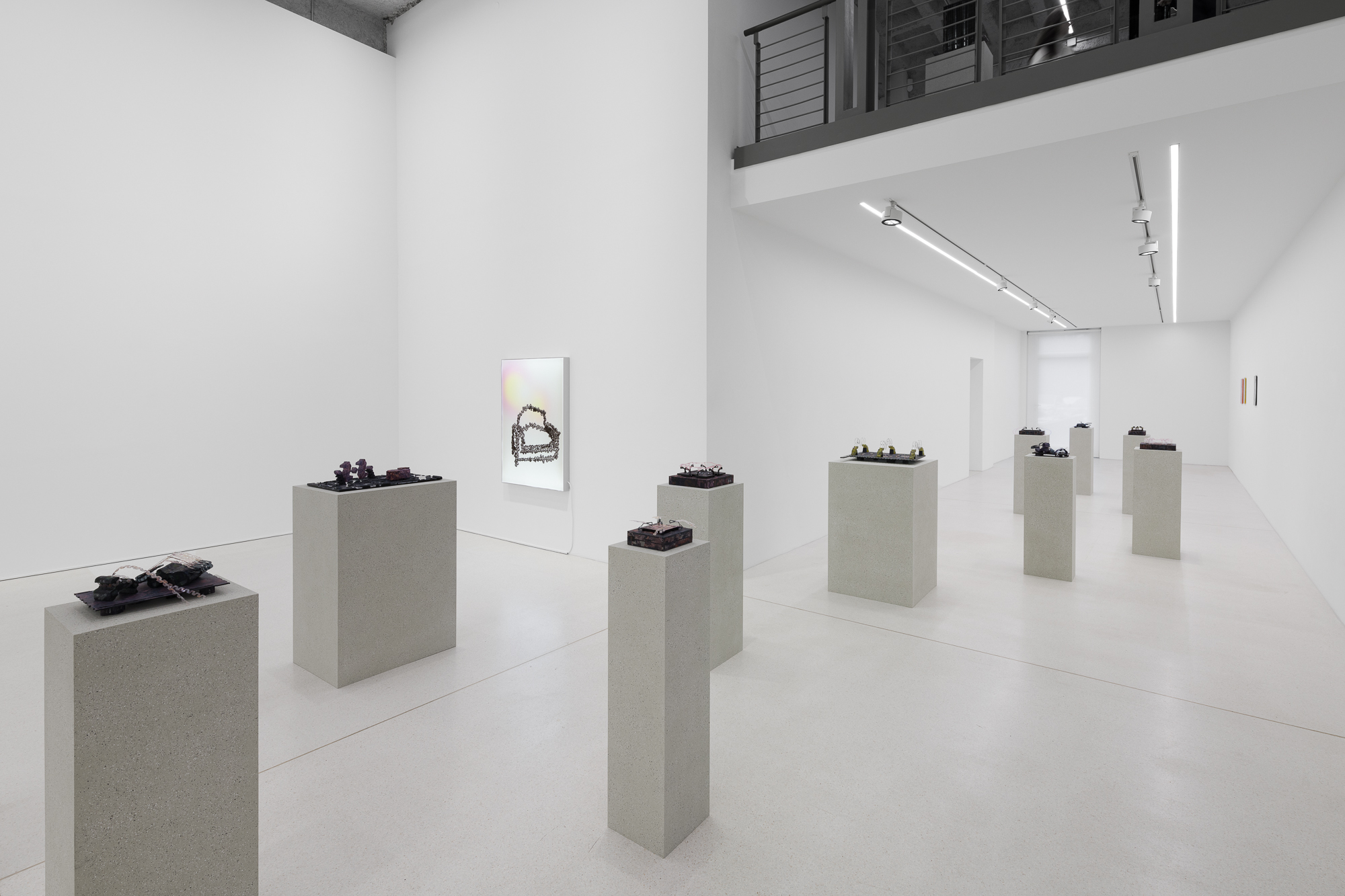 Plan B - Ran Zhang • GALLERY WEEKEND BERLIN