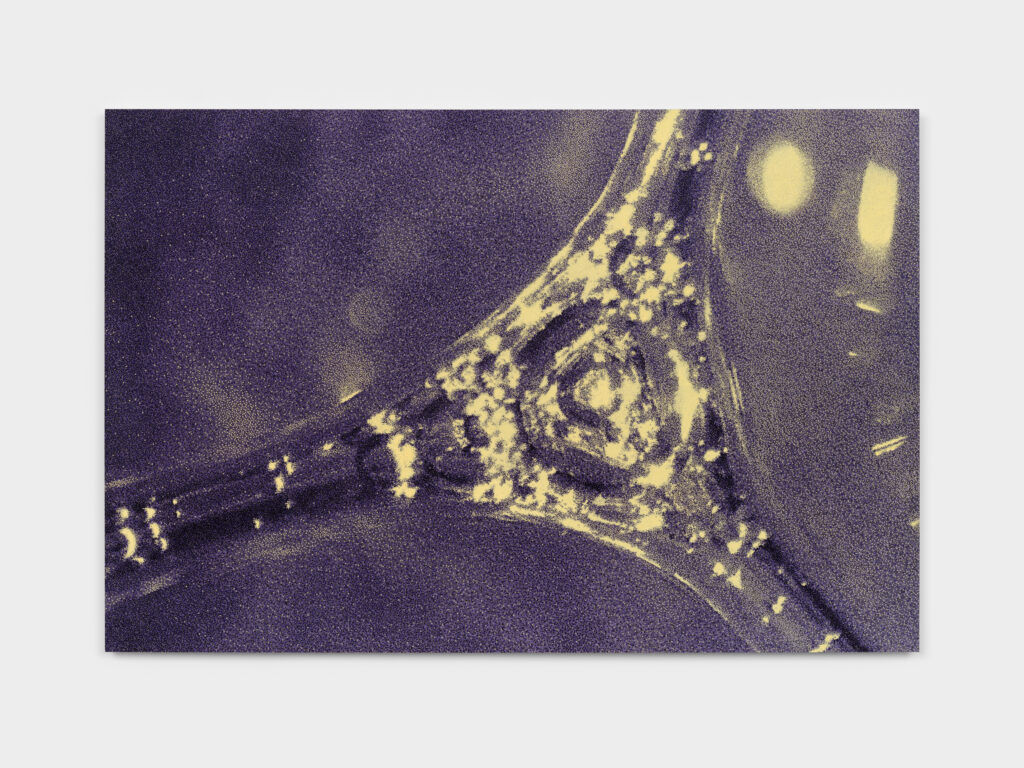 <p>ESTHER SCHIPPER</p>
<p>&nbsp;</p>
<p>Tauba Auerbach, Foam, 2026. Acrylic on Dibond panel, 122 x 183 cm. Courtesy the artist and Esther Schipper, Berlin/Paris/Seoul. © the artist / VG Bild-Kunst, Bonn 2026. Photo: Steven Probert.</p>
