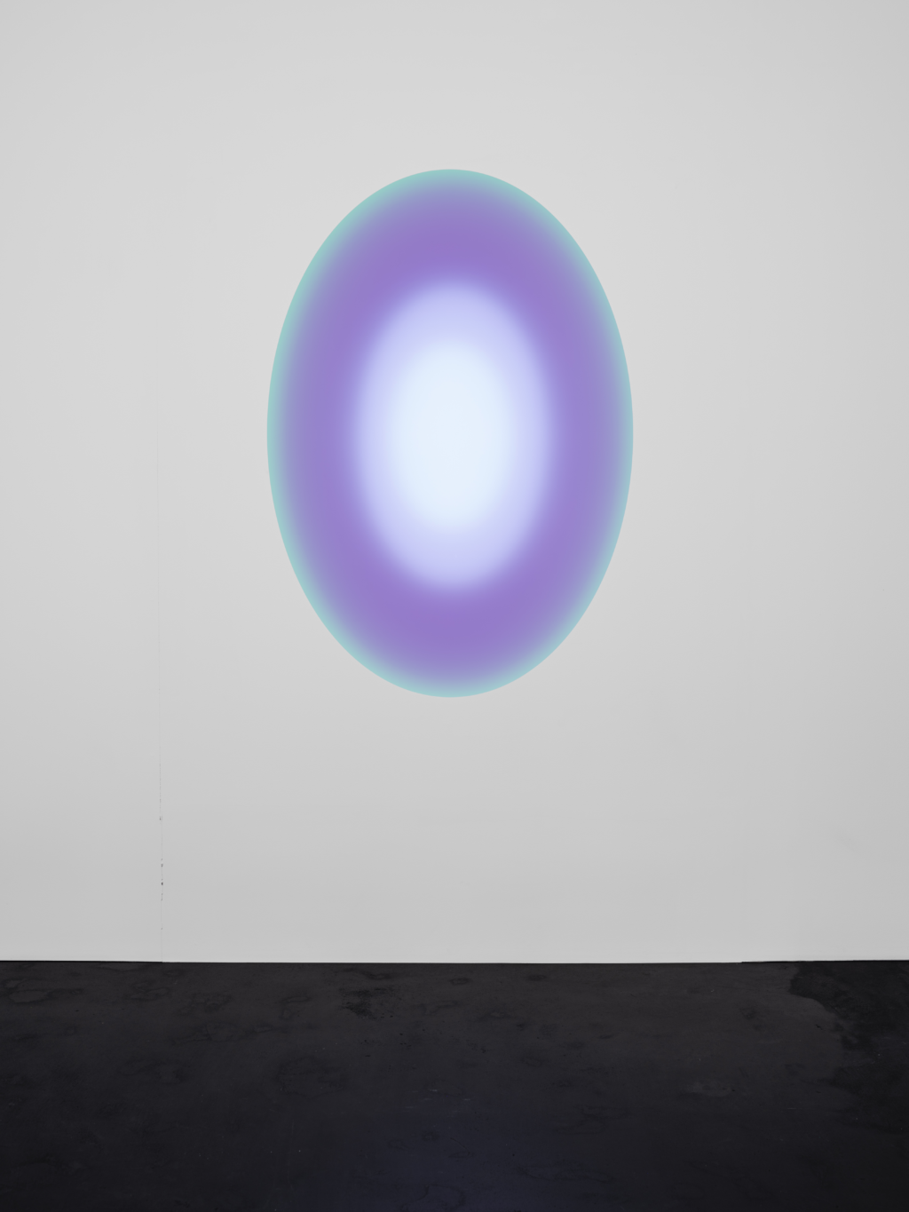 <p>MAX GOELITZ</p>
<p>&nbsp;</p>
<p>James Turrell, <i> Small Elliptical Glass “First Cause”</i>. 2024. Glass, computer-controlled LED, aluminium, corian. Photo- Florian Holzherr. Copyright- James Turrell. Courtesy- Courtesy Häusler Contemporary, Zürich.</p>
