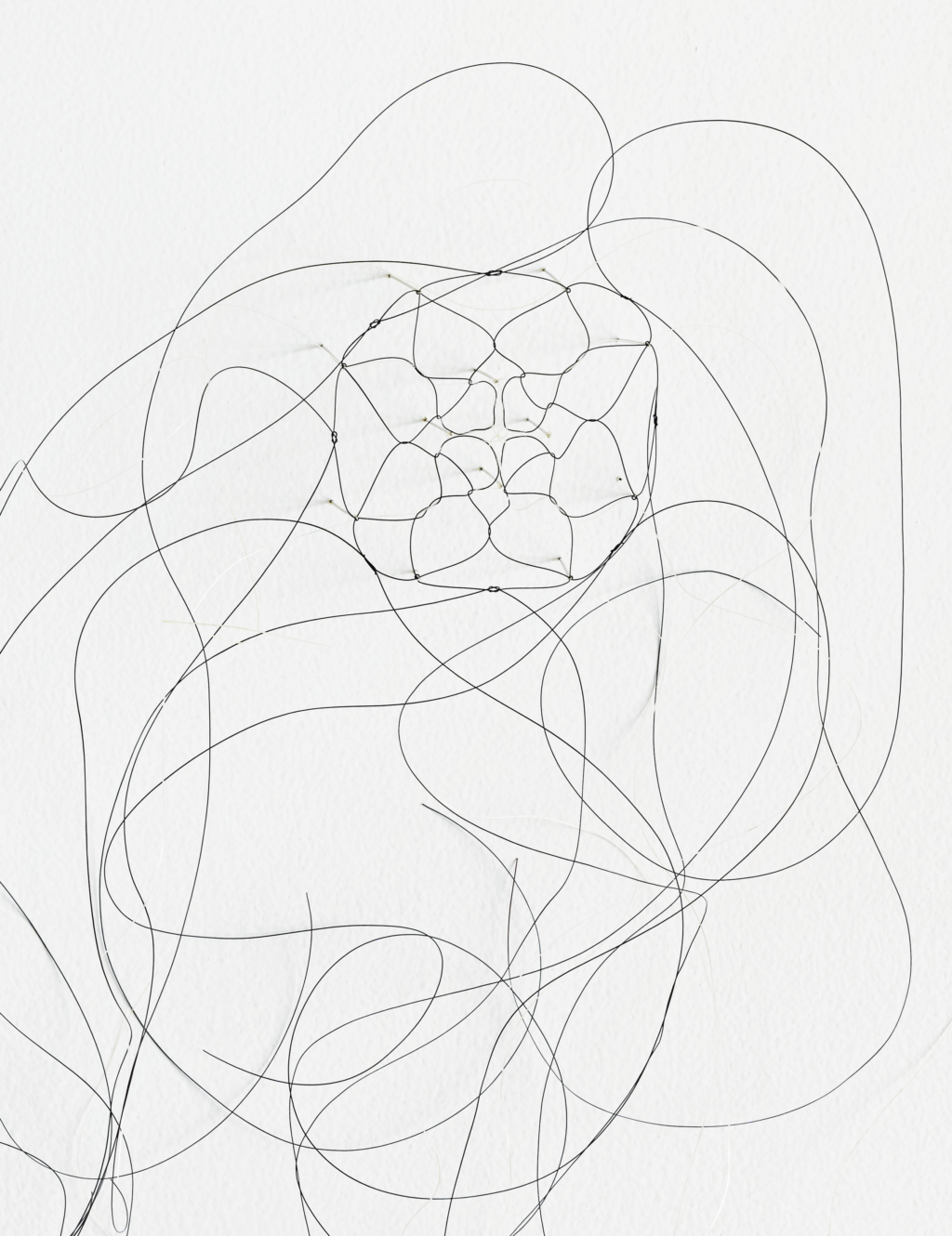 <p>LEVY GALERIE</p>
<p>&nbsp;</p>
<p>Christiane Löhr, <em>Kleines Haarnetz</em> (Little Hair Net), 2019. Pferdehaar, Nadeln : Horse hair, needles ca.: approx. 35 x 20 x 15 cm.</p>
