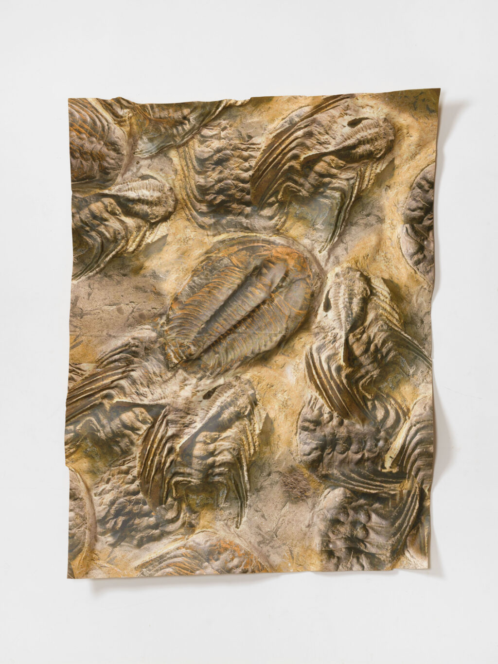 <p>GALERIE GUIDO W. BAUDACH</p>
<p>&nbsp;</p>
<p>Markus Selg, <i>PARADOXIDES I</i>, 2022. UV-print on cellulose polyester, 200 x 140 cm. Courtesy the artist & Galerie Guido W. Baudach, Berlin © Markus Selg 2024. All rights reserved. Photo: Roman März.</p>
